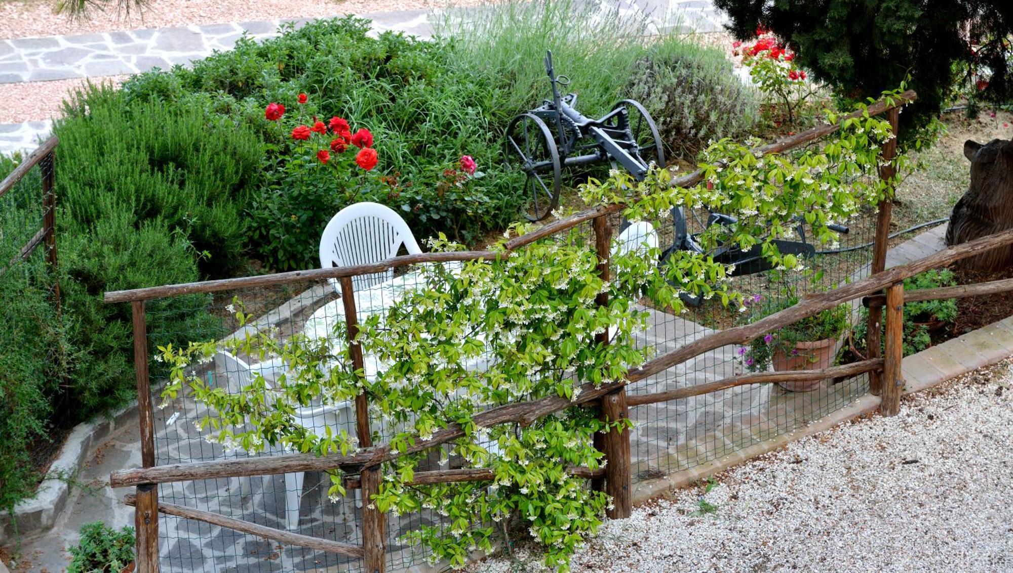 Agriturismo San Severo Passignano sul Trasimeno Cameră foto